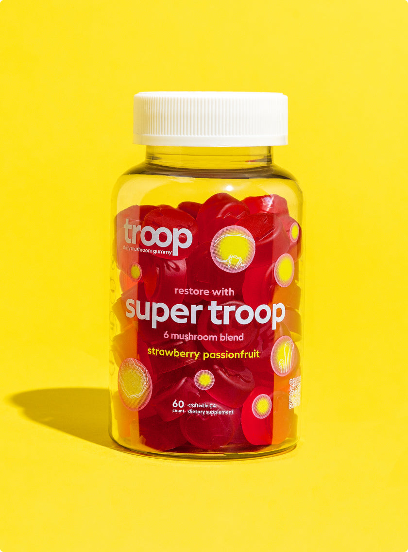 super troop by Troop