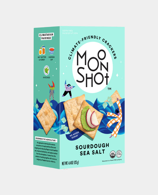 Sourdough Sea Salt by Moonshot Snacks