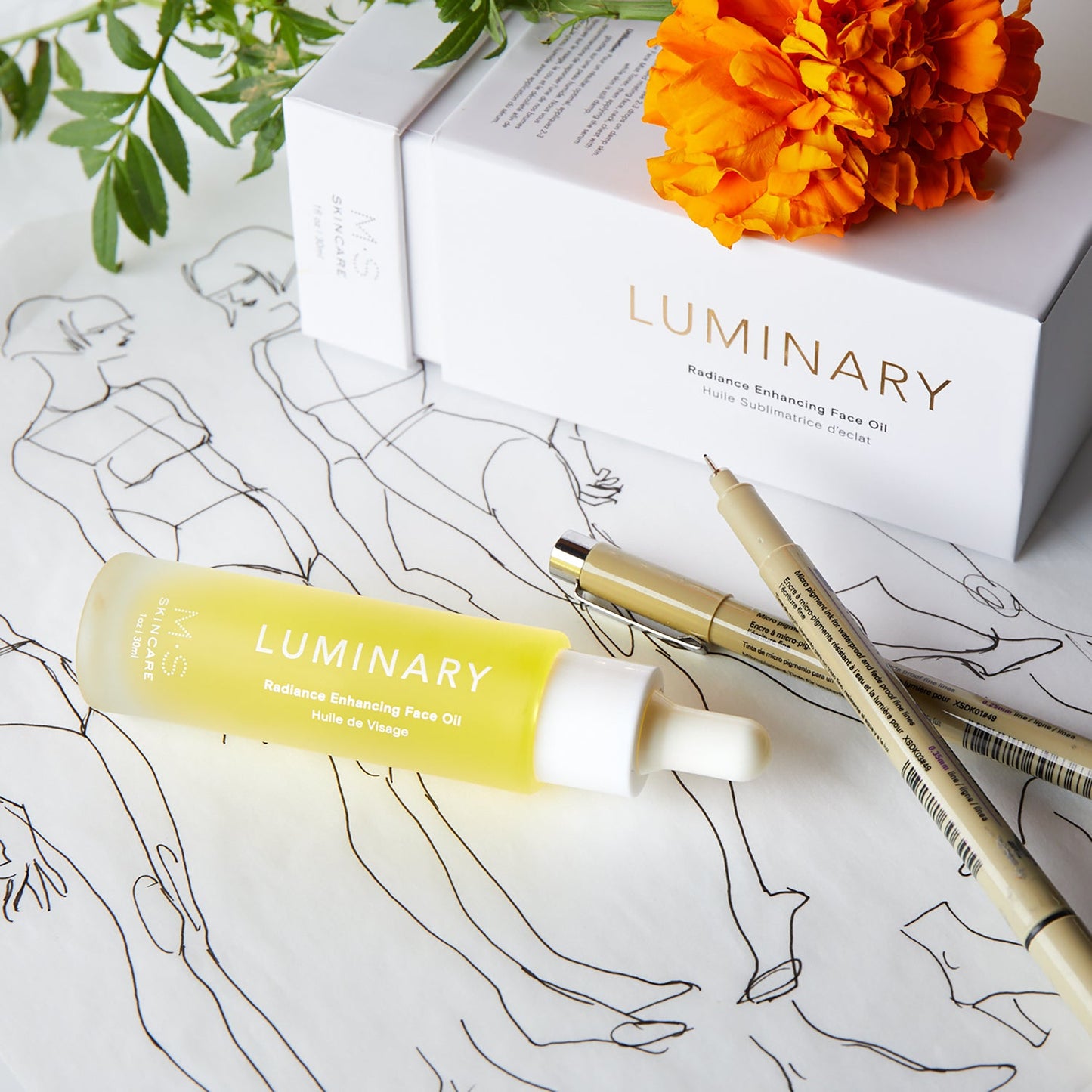 LUMINARY | Radiance Enhancing Face Oil by Mullein and Sparrow